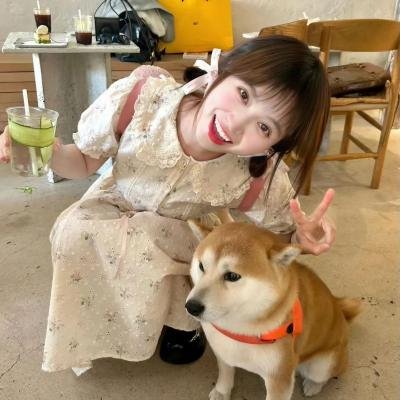 斗牛街区